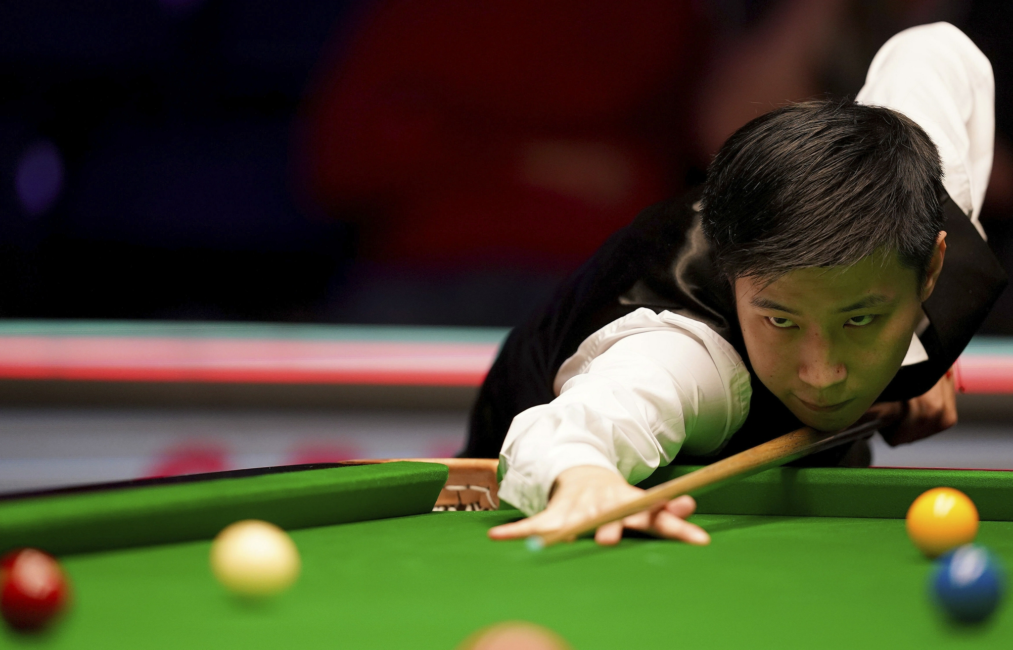 来已经培养 来已经培养