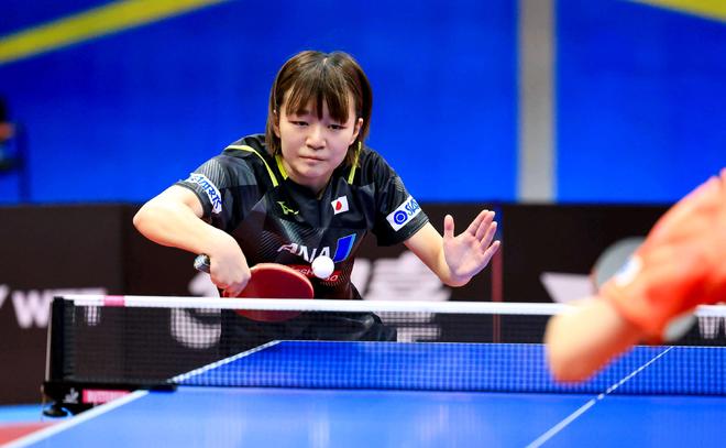 他们便确立 他们便确立