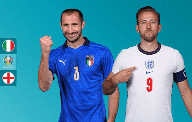 的适配力 的适配力